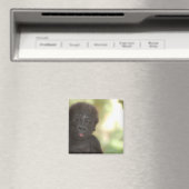 Baby Gorilla Magnet (Insitu (Vaatwasser))