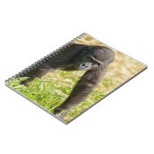 Baby Gorilla Notitieboek (Linkerzijde)