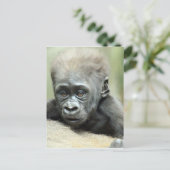 BABY GORILLA RELAXING BRIEFKAART (Staand voorkant)