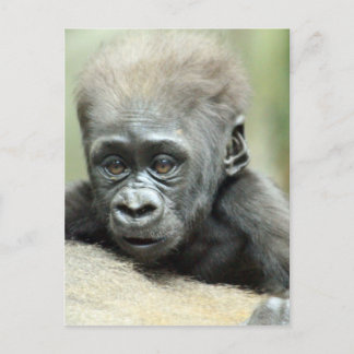 BABY GORILLA RELAXING BRIEFKAART
