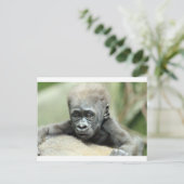 BABY GORILLA RELAXING BRIEFKAART (Staand voorkant)