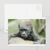 BABY GORILLA RELAXING BRIEFKAART (Voorkant / Achterkant)
