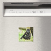 Baby Gorilla Snacking Magneet (Insitu (Vaatwasser))