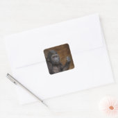 Baby Gorilla Vierkante Sticker (Envelop)