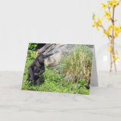Baby Gorilla Wenskaart Kaart (Gele Bloem)