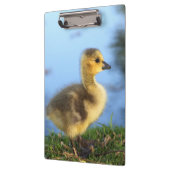 Baby Gosling Kantoor Klembord (Links)