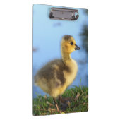 Baby Gosling Kantoor Klembord (Rechts)