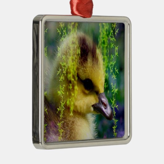 Baby Gosling Ornament (Rechts)