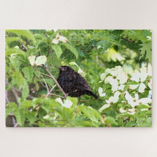 Baby Grackle in de Dogwood-boom Legpuzzel (Horizontaal)