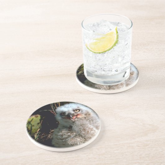 Baby Great Horned Owl Zandsteen Onderzetter (Zijkant)