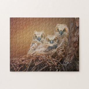 Baby Great Horned Owls Wildlife Photography Legpuzzel