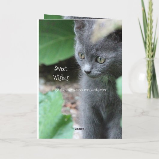 Baby Grey Kitten Kaart (Achterkant)