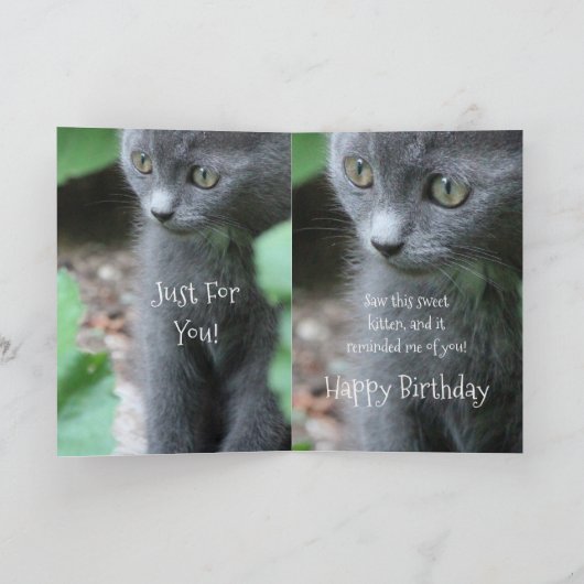 Baby Grey Kitten Kaart (Binnen)