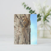 Baby Grijze eekhoorn Briefkaart (Staand voorkant)