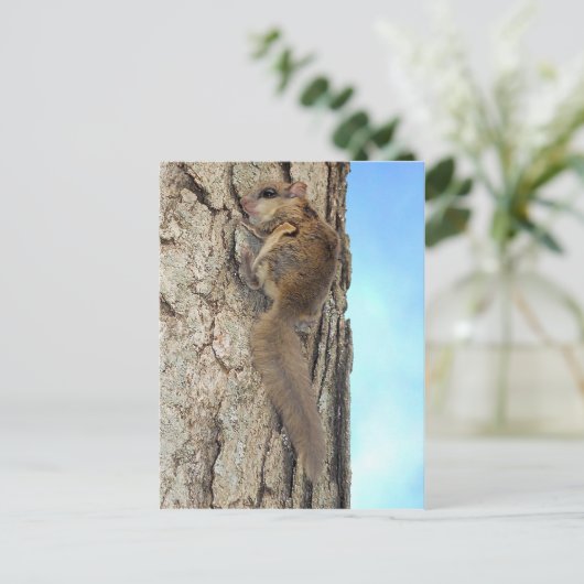 Baby Grijze eekhoorn Briefkaart (Staand voorkant)