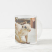 Baby Grondeeekhoorn Bevroren Mok (Voorkant rechts)