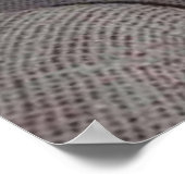 Baby groot oor Abyssinians blauw mannelijk kitten Poster (Hoek)