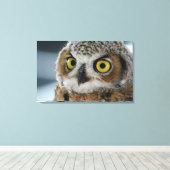 Baby grote gehoornde uil canvas afdruk (Insitu (Houten vloer))