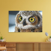 Baby grote gehoornde uil canvas afdruk (Insitu (Woonkamer))
