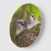 Baby Grote Klok (Hoek)