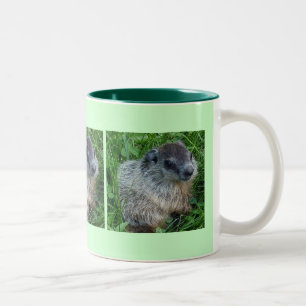 Baby Groundhog 11 Oz. Mok