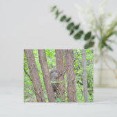 Baby Groundhog Briefkaart (Staand voorkant)