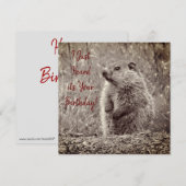 Baby Groundhog in ZWART-WIT Verjaardag (Voorkant / Achterkant)