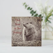 Baby Groundhog in ZWART-WIT Verjaardag (Staand voorkant)