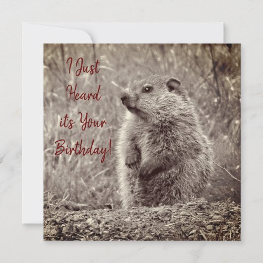 Baby Groundhog in ZWART-WIT Verjaardag (Voorkant)