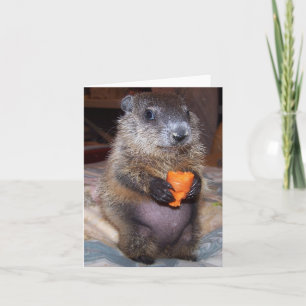 Baby Groundhog Maude Note Kaart