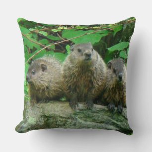 Baby Groundhogs - Woodchucks - Grundsows Kussen