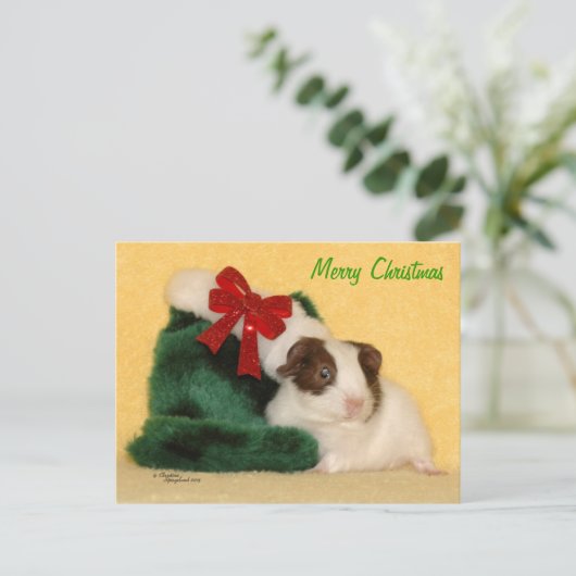 Baby Guinea Pig Merry Christmas Briefkaart (Staand voorkant)