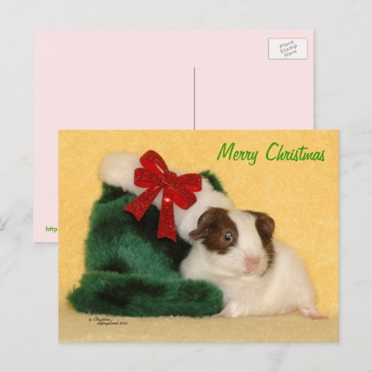 Baby Guinea Pig Merry Christmas Briefkaart (Voorkant / Achterkant)
