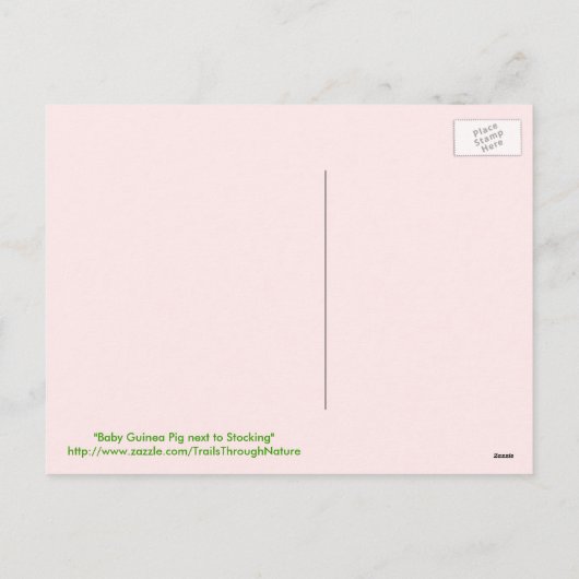 Baby Guinea Pig Merry Christmas Briefkaart (Achterkant)