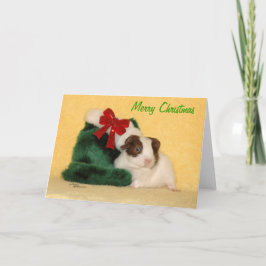 Baby Guinea Pig Merry Christmas Kaart