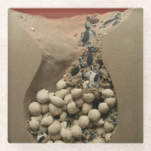 Baby hakken glazen onderzetter