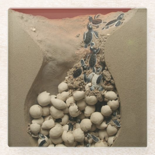 Baby hakken glazen onderzetter (Voorkant)