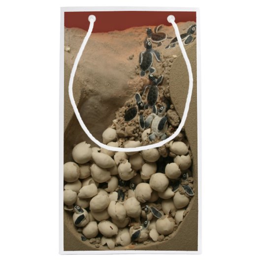 Baby hakken klein cadeauzakje (Achterkant)