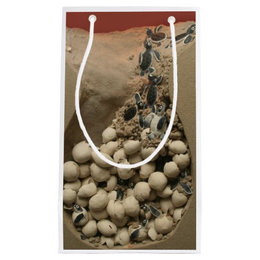 Baby hakken klein cadeauzakje (Voorkant)