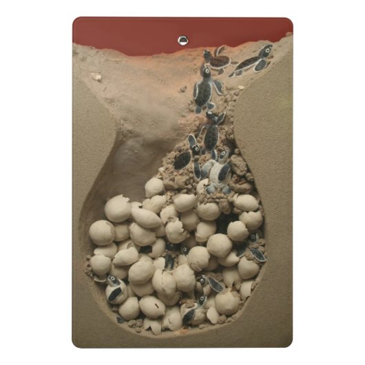 Baby hakken mini klembord (Achterkant)