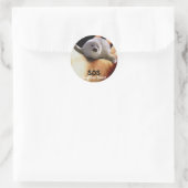 BABY HARP SEAL Anti Seal-Hunt Sticker (Tas)