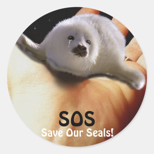 BABY HARP SEAL Anti Seal-Hunt Sticker (Voorkant)