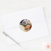 BABY HARP SEAL Anti Seal-Hunt Sticker (Envelop)