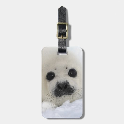 Baby Harp Seal Bagagelabel (Voorkant verticaal)