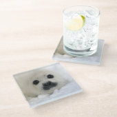 Baby Harp Seal Glazen Onderzetter (Schuin)