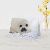Baby Harp Seal Kaart (Gele Bloem)