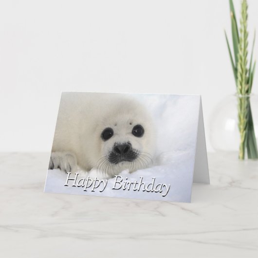 Baby Harp Seal Kaart (Voorkant)