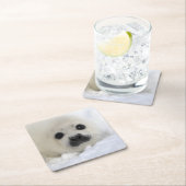 Baby Harp Seal Kartonnen Onderzetters (Insitu)