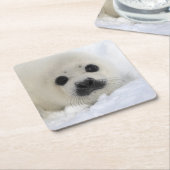 Baby Harp Seal Kartonnen Onderzetters (Schuin)