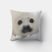 Baby Harp Seal Kussen (Voorkant)